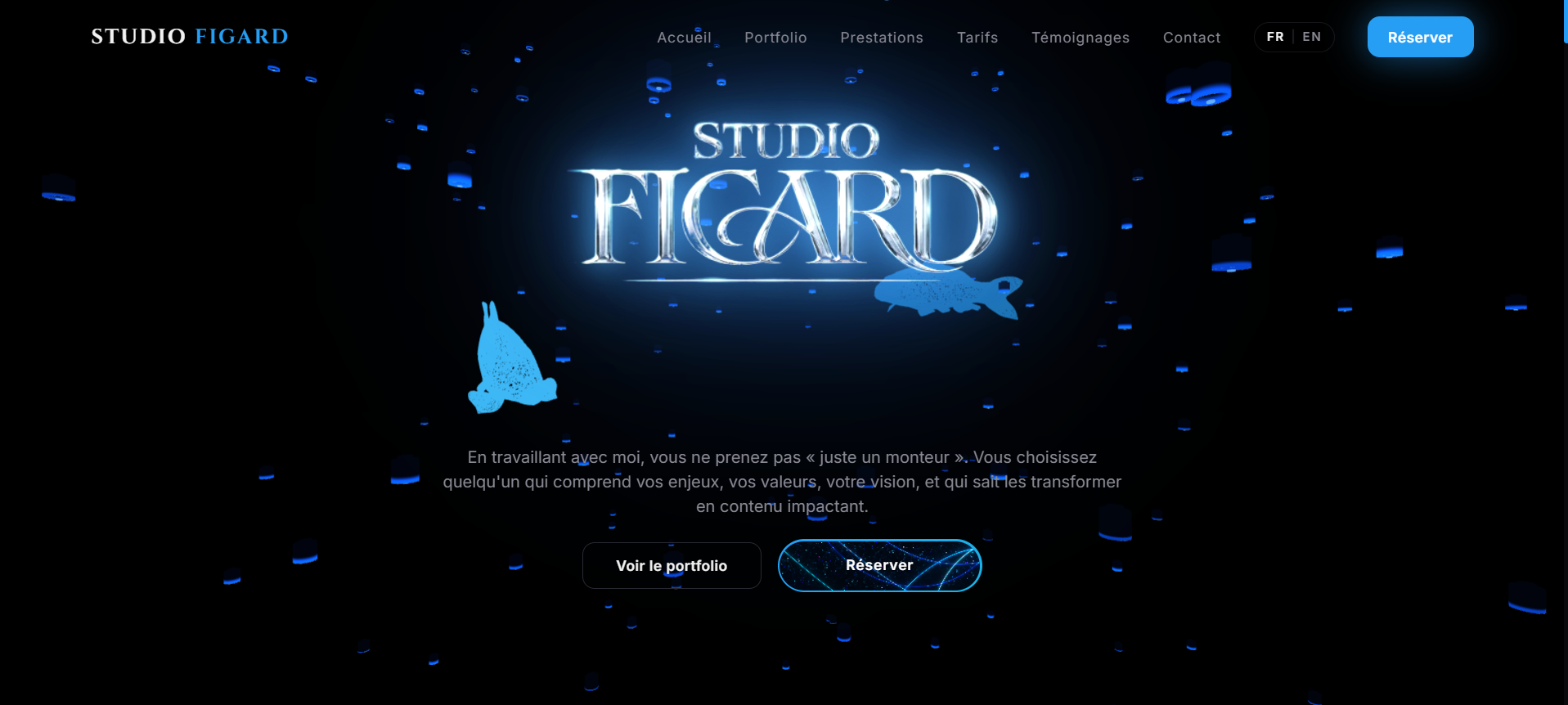 Aperçu du site Studio Figard